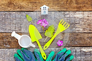 Gardening Tools on wooden background