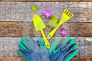 Gardening Tools on wooden background