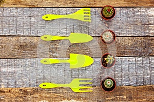 Gardening Tools on wooden background