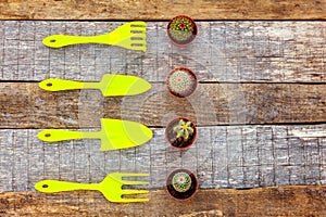 Gardening Tools on wooden background