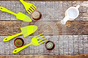 Gardening Tools on wooden background