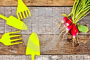 Gardening Tools on wooden background