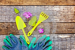 Gardening Tools on wooden background