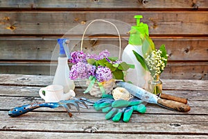 Gardening Tools on wooden background