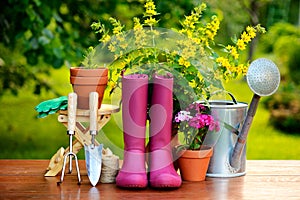 Gardening tools on wooden table and green background