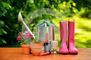 Gardening tools on wooden table and green background
