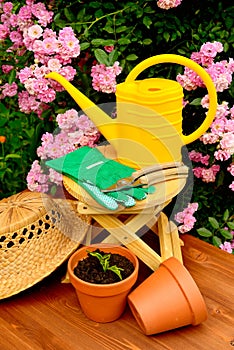Gardening tools on wooden table and rose flowers background