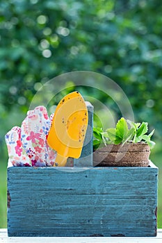 Gardening tools in a wooden tool box