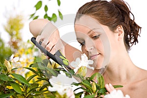 Gardening - woman cutting flower with shears photo