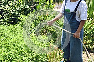 Gardening woman hand holding pouring water on plant with rubber tube garden