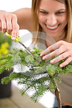 Gardening - woman trimming spruce tree