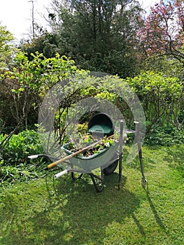 Gardening and work on the garden plot, cart with cut leaves of plants against the background of green grass