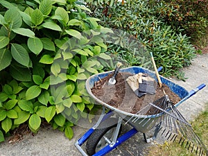 Gardening and yard work photo