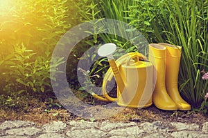 Gardening yellow tools outdoor in garden. Rubber boots, watering can, hose.