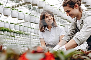 Gardening. Young smiling people florists working and arranging pots with flowers in the garden centre