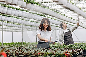 Gardening. Young smiling people florists working in the greenhouse