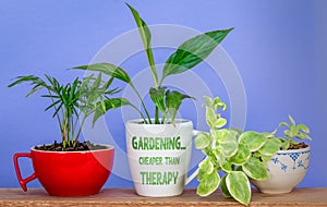 Gardeningâ€¦ Cheaper than therapy text on mug used as a plant pot for houseplant, eco therapy