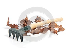A gardenrake with dry leaves