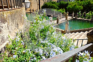 Gardens of the Alcazar Castle, Cordoba photo