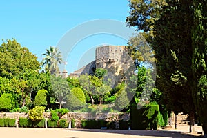 Gardens of the Alcazar Castle, Cordoba photo