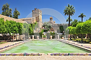 Gardens in the Alcazar of Christian Monarchs in Cordoba, Andalusia Spain