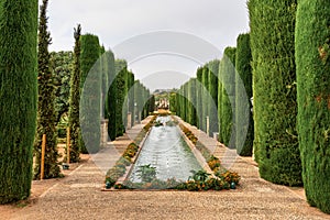 The gardens of Alcazar of the Christian Monarchs in Cordoba, Andalusia, Spain