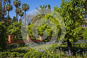 The gardens of the Alcazar on a clear summer day