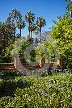 The gardens of the Alcazar on a clear summer day