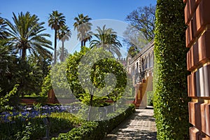 The gardens of the Alcazar on a clear summer day