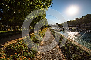 Gardens at the Alcazar de los Reyes Cristianos in Cordoba, Spain