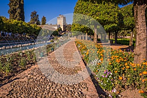 Gardens at the Alcazar de los Reyes Cristianos in Cordoba, Spain