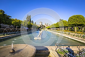 Gardens at the Alcazar de los Reyes Cristianos in Cordoba, Spain