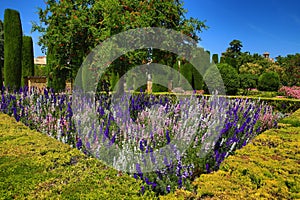 Gardens of Alcazar de los Reyes Cristianos, Cordoba, Spain. The place is declared UNESCO World Heritage Site. CORDOBA, SPAIN