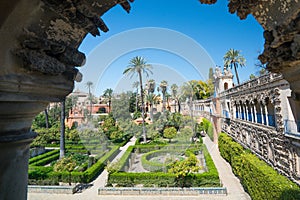 Gardens of the Alcazar, Seville, Andalucia, Spain