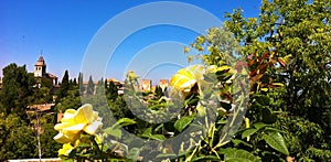 Gardens of Alhambra palace and fortress complex located in Granada