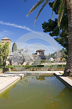 Gardens of Alhambra Palace in Granada