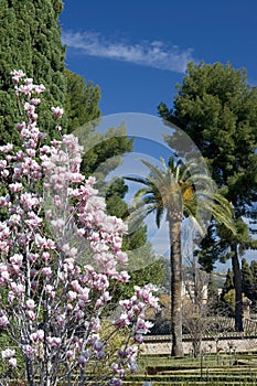 Gardens of Alhambra Palace in Granada