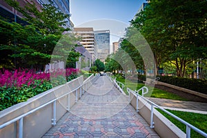 Gardens along a walkway at Freedom Park and modern buildings in