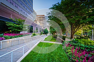 Gardens along a walkway at Freedom Park and modern buildings in