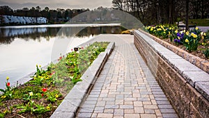 Gardens along Wilde Lake, in Columbia, Maryland.