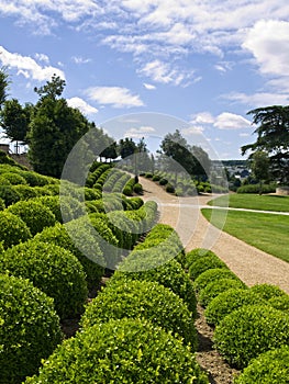 The Gardens of Amboise Castle photo