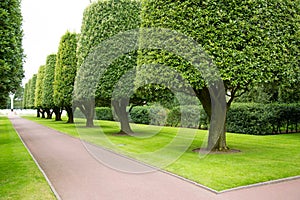 Gardens in the American cemetery