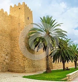 The gardens around Sousse Medina