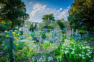 Gardens at Back Bay Fens, in Boston, Massachusetts.