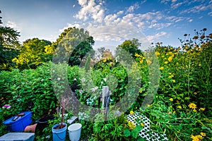 Gardens at Back Bay Fens, in Boston, Massachusetts.