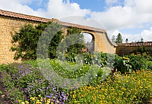 Gardens at Barrington Court near Ilminster Somerset England uk with gardens in summer sunshine