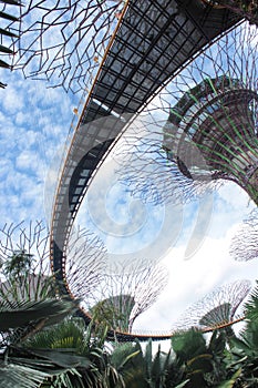 Gardens by the Bay