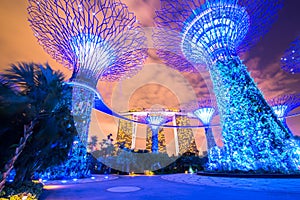 Gardens by the Bay