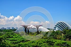 Gardens by the Bay, Bay Area, Singapore, Asia. Park with Domes and Supertrees. photo