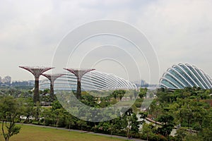 Gardens by the Bay, an integral part of a strategy by the Singapore government to transform Singapore from a Garden City to a C